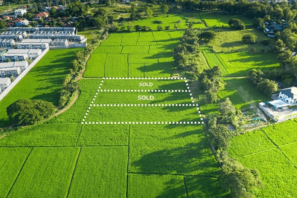 Commercial Plots and Land